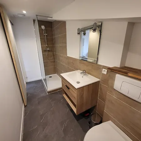 Apartament Le Toit Du Rhone,
